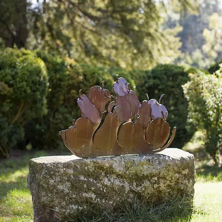 Pazo De Brandeso & Country Club Country house *